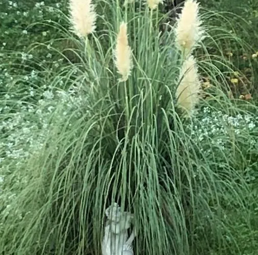 Mela__bii فندق مبيت وإفطار سولمونا